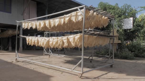 Tofu Piel Bambú Pega Bajo Sol Hasta Que Cruje — Vídeos de Stock