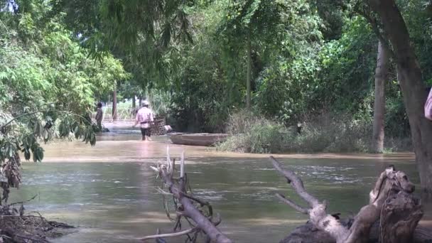 Back View Rural People Walking Flooded Tropical Forest Period Monsoon — Stock Video