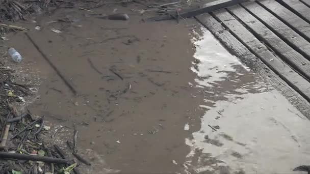 水浸期间穿越小木桥墩时提着空罐子的人 — 图库视频影像