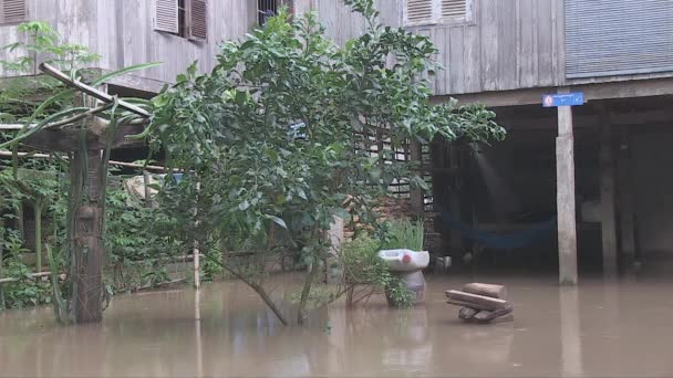 Потоп Воды Сваями После Повышения Уровня Воды Реке — стоковое видео