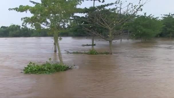 Voda Řeky Mekong Zaplavuje Pole Výstřel Pohybujícího Člunu — Stock video