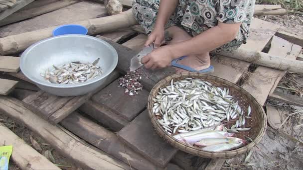 Woman Cutting Little Fishes Head Wooden Board — Stock Video