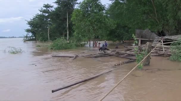 Кампонгтям Камбоджа 2013 Года Наводнения Обрушилось Убежище Хранения Бамбука — стоковое видео