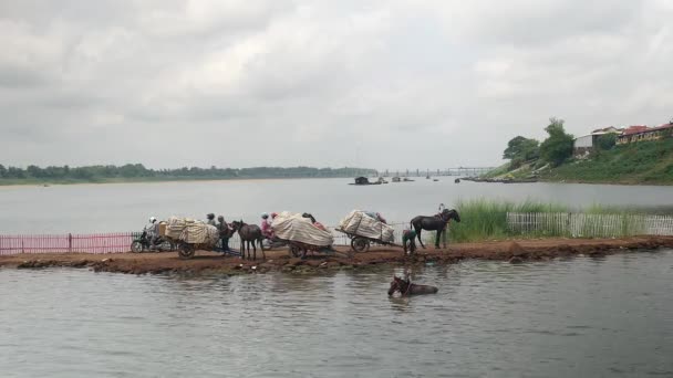 Kampong Cambodia 2016 Motorbikes Passing Stationary Wooden Carts Loaded Harvested — Stockvideo