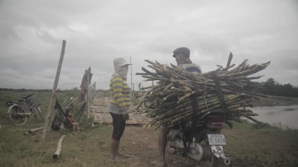 Kampong Camboya 2019 Vista Trasera Hombre Sentado Moto Cargado Bambú — Vídeo de stock