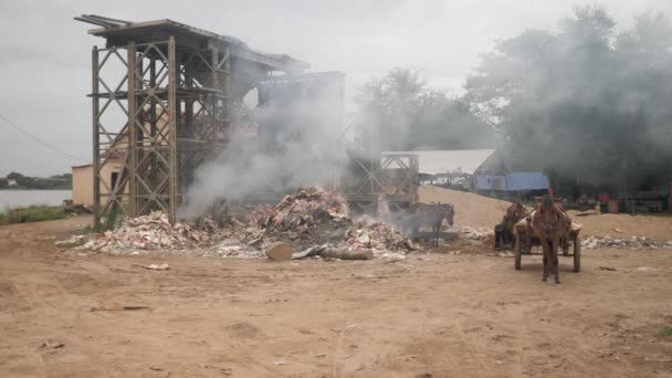 Burning Plastics Garbage Empty Horse Carts Waiting Side — Stockvideo