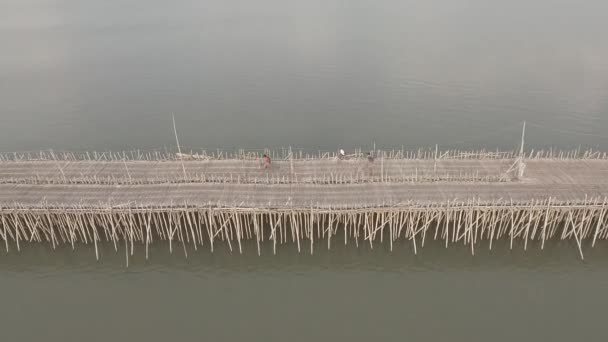 Drone Disparo Bicicletas Cruzando Bambú Sobre Río — Vídeo de stock