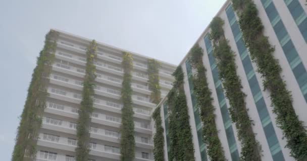 Zoom Plantas Edifício Apartamento Coberto — Vídeo de Stock