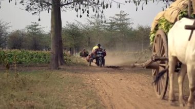 Kamboçya - Nisan 2015: Öküz arabalı, at arabalı ve tozlu yolda karavan taşıyan çiftçiler  