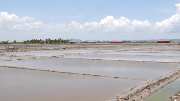 Zoutvelden Provincie Kampot Zijn Ongebruikt Tijdens Het Regenseizoen — Stockvideo