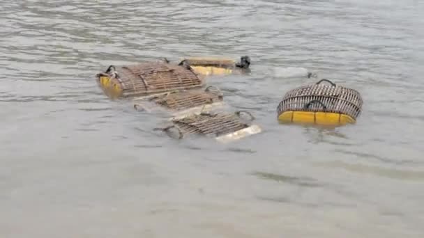 Κλείσιμο Ζωντανών Καβουριών Διατηρείται Υφασμένα Κλουβιά Στο Θαλασσινό Νερό — Αρχείο Βίντεο