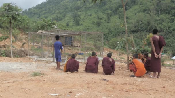 Kampot Camboya 2022 Grupo Monjes Observando Perro Salvaje Asiático Dentro — Vídeos de Stock