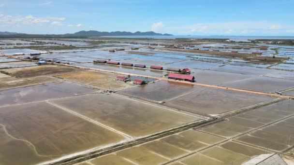 Voar Sobre Campos Sal Província Kampot Não São Utilizados Durante — Vídeo de Stock