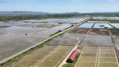 Güneşli bir günde Kampot 'taki tuz tarlalarının arasından kırsal bir yol üzerinde uçmak 