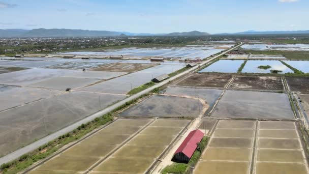 Flyga Över Landsväg Genom Salta Fält Kampot Provinsen Solig Dag — Stockvideo