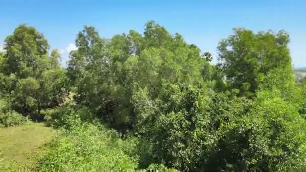 드론으로찍은 영상을 산으로 둘러싸인 호수가 보인다 — 비디오