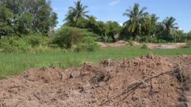 Kampot  - Cambodia - 07 -09- 2021 :  Field soil reclamation in preparation for the construction and expansion of housing ( close up )