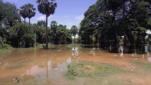 Πυροβολισμός Πλημμυρισμένο Χωράφι — Αρχείο Βίντεο