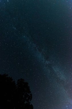 Gece, yıldızlarla aydınlanan siyah gökyüzü. Çerçevenin ortasında Samanyolu 'nu görebilirsiniz. İnsanlığın yaşadığı bir galaksi..