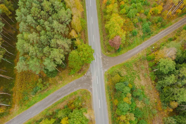 소나무 숲으로 프레임 중앙에 아스팔트 도로가 만나는 수있습니다 사진은 날으는 — 스톡 사진