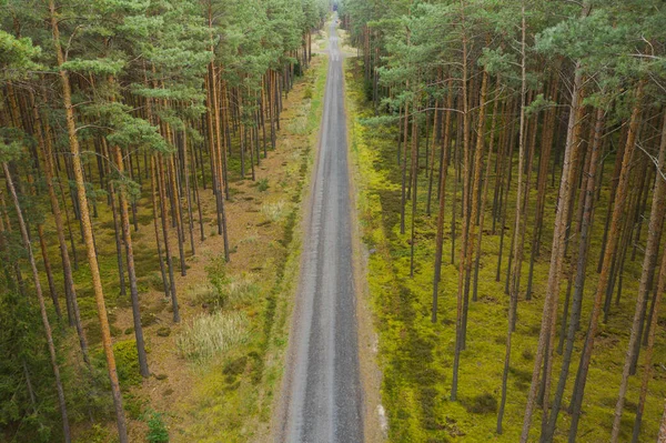 Una Vasta Pianura Coperta Alte Pinete Può Vedere Una Strada — Foto Stock