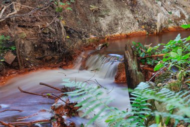 Deredeki hızlı akan su, devrilen ağaç gövdeleri, dallar ve taşlarla birleşerek beyaz köpüklü suyun aktığı küçük barajlar oluşturdu. Bulanık bir efekt uzun süre maruz kalarak elde edildi.