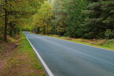 Asfalt asfalt yol. Yol kenarının her iki tarafında yeşil çimenler ve yol kenarında bir hendek var. Arka planda yaprak döken bir orman yetişiyor. Sonbahar geldi, yapraklar sarardı ve kahverengileşti..