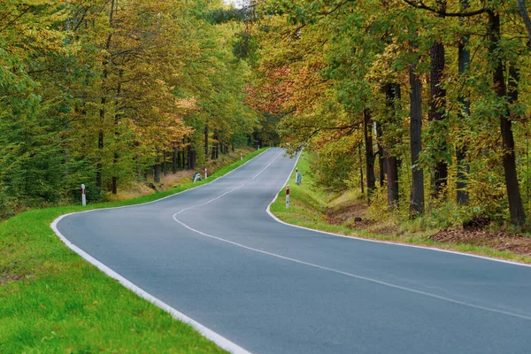 Asfalt asfalt yol. Yol kenarının her iki tarafında yeşil çimenler ve yol kenarında bir hendek var. Arka planda yaprak döken bir orman yetişiyor. Sonbahar geldi, yapraklar sarardı ve kahverengileşti..