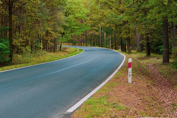 Asphalt paved road. There is green grass on both sides of the roadside and there is a roadside ditch. A deciduous forest grows in the background. It is fall, the leaves are turning yellow and brown.