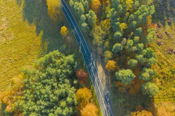 Estrada Asfalto Através Uma Floresta Caduca Conífera Mista Agulhas Nos — Fotografia de Stock
