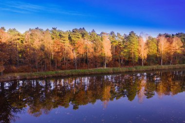 Sonbaharda göl. Su deposu ormanlar arasında yer almaktadır. Kıyılar yaprak döken ağaçlarla kaplıdır, arka planda bir çam ormanı vardır. Sonbahar, ağaçlardaki yapraklar sarı ve kahverengi.. 