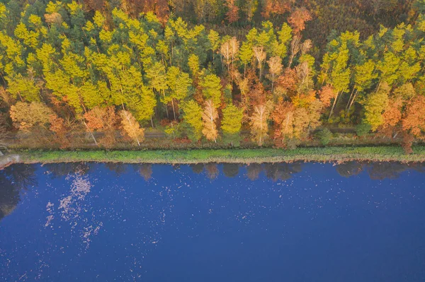 Lago Outono Reservatório Está Situado Entre Florestas Margens São Cobertas — Fotografia de Stock