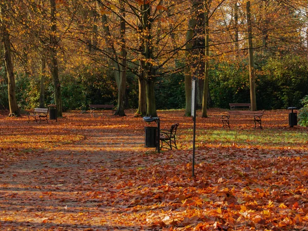 Parc Manoir Dans Ville Ilowa Pologne Est Automne Les Arbres — Photo