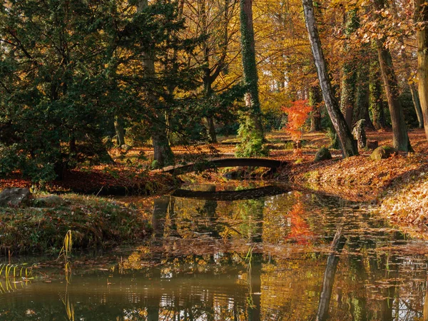 波兰伊洛瓦市的庄园公园 人工水库 现在是秋天 海滨长满了落下来的褐色叶子 — 图库照片