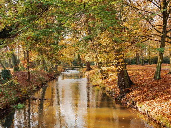 波兰伊洛瓦市的庄园公园 一条狭窄的小河 现在是秋天边缘覆盖着一层浓密的褐色叶子 今天是阳光灿烂的一天 — 图库照片