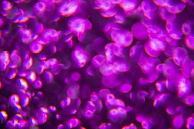 Doku oval mor nesnelerden yaratıldı. Etki, simli yüzeyi odaklanmadan makro ölçekte fotoğraflayarak elde edildi..