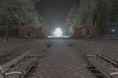 Polonya 'nın Ilowa kentindeki malikane parkında Noel süsü. Kar yağışı nedeniyle manzara bulanık.
