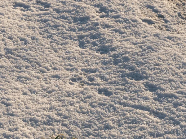 Prato Invernale Mattutino Terreno Coperto Uno Strato Neve Sua Superficie — Foto Stock