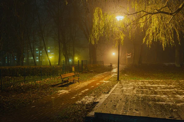 Evening Park Alley Hidden Darkness Illuminated Electric Lanterns Fog Rising — Fotografia de Stock