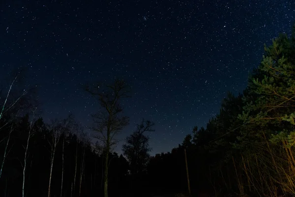 Cobbled Narrow Road Running Forest Night Impenetrable Darkness You Can — Zdjęcie stockowe