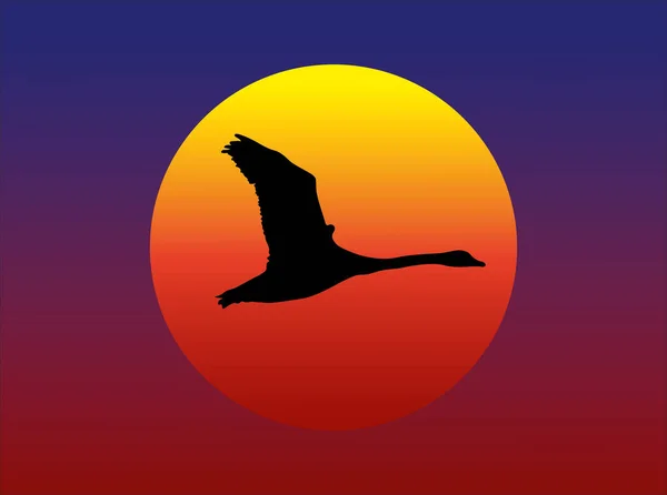 夕日の前を飛ぶ白鳥の黒いシルエットを描いたベクトルグラフィック — ストックベクタ