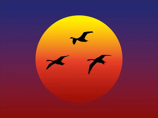 夕日に対して飛んで3羽の白鳥のシルエットを示すベクトルグラフィック — ストックベクタ