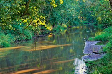 Yaz, yeşil yaprak döken orman, güneşli bir gün. Kum yığınlarıyla dolu sığ bir nehir ortasından yavaşça akar..