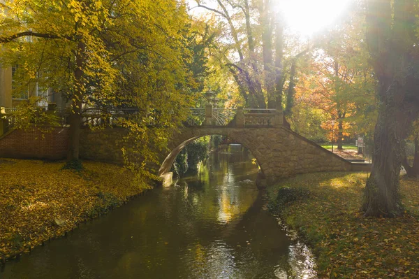 秋天阳光灿烂的一天在公园里 小河一条狭窄的小河 上面有一座石头建成的历史性人行天桥树上的黄叶 — 图库照片