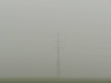 Yeşillerle kaplanmış bir tarım arazisi. Yoğun bir sis ağaçları, elektrik hatlarını ve çalıları gizler..