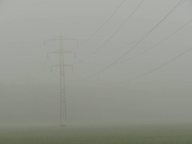 Yeşillerle kaplanmış bir tarım arazisi. Yoğun bir sis ağaçları, elektrik hatlarını ve çalıları gizler..