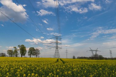 Geniş bir alan, tarıma elverişli alanlar sarı tecavüzle kaplı. Güneşli bir gün, gökyüzü hafif bulutlu. Elektrik hatlarının yüksek metal direkleri görülebilir..