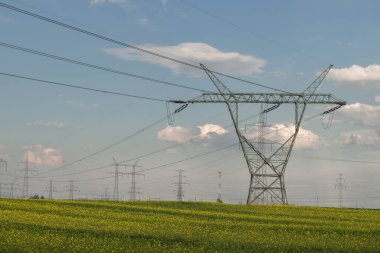 Geniş bir alan, tarıma elverişli alanlar sarı tecavüzle kaplı. Güneşli bir gün, gökyüzü hafif bulutlu. Elektrik hatlarının yüksek metal direkleri görülebilir..