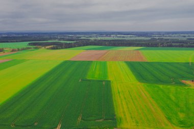 Tarıma elverişli tarlalar ve çayırlarla kaplı uçsuz bucaksız bir ova. Bazı yerlerde ağaç kümeleri görebiliyorsun. Gökyüzü hafifçe bulutlu. İHA 'dan fotoğraf..