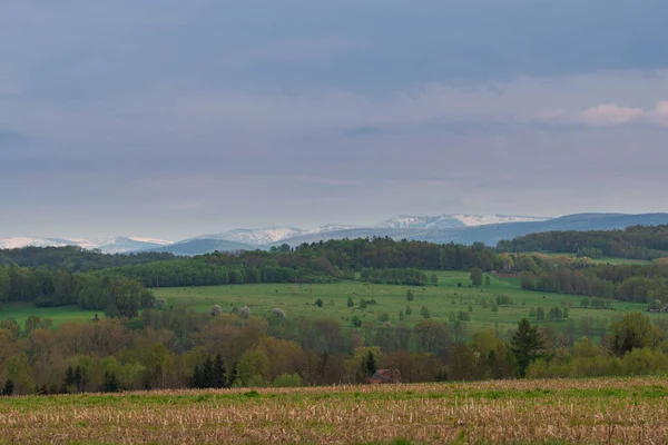 The upland is covered with green trees. In the distance you can see misty mountain peaks covered with a blanket of white snow. The sky is slightly cloudy.